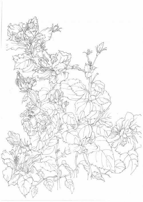 作假鸟取大学毕业证